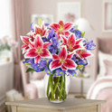 Always Spring + Free Vase, Israel, Israel