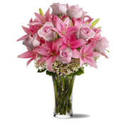 Pink Explosion  SALE!, Israel, Israel