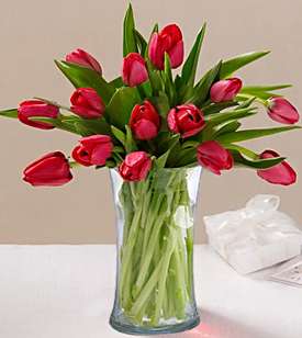 Red Tulips In Love