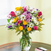 Shine in Flowers, Israel, Israel