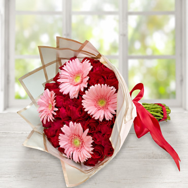Roses and Gerberas in Harmony, Israel, Israel - Israel
