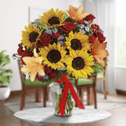 Irresistible Attraction, Israel, Israel