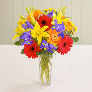 Yofi, Israel, Israel